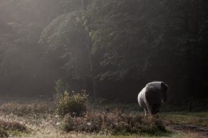 In het donker ligt nog een pad verscholen